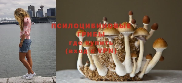 марки nbome Алексеевка