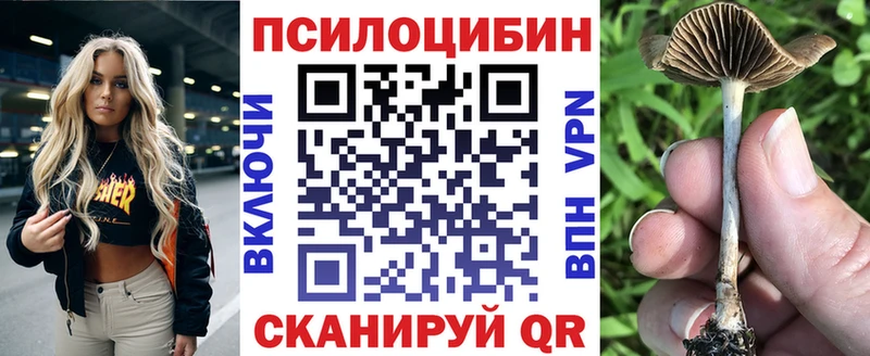 наркошоп  Нижние Серги  Галлюциногенные грибы GOLDEN TEACHER 